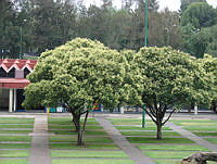 DSC01754.jpg