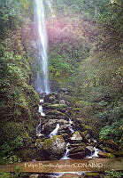 FBA1066 Las cascadas Comaltepec_08.jpg