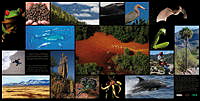 1Collage_ Biodiversidad.jpg