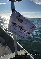 RE006 0078 TrabajoCampo_8.tif