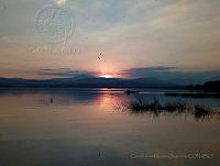 CPMO01 Miacatlán, Morelos.jpg