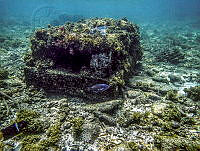 EFBP003 La Paz, Baja California Sur.jpg