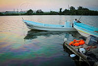 FBA0564 Tabasco, México.jpg