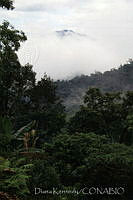 DK1120 Sierra Juárez, Oaxaca.jpg