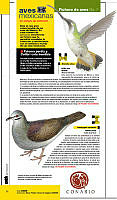 Revista Expedición.pdf