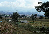 DK2050 Toluca, Estado de México.jpg