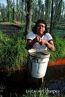 3R 01312 Campesino depositando lodo.jpg