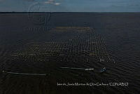 IMDOC4144 Panorámicas de INAPESCA.jpg