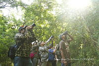 MASM07181 Observación de aves.jpg