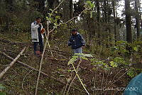 CGL3842 Angangueo, Michoacán.jpg