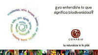 Calendario 2003.pdf