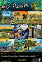 poster_elpaisdelasmaravillas.jpg