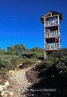 FBA1080 Ecoturismo Comunitario Cascada de Niebla_Tuxtepec-Oaxaca_17.jpg