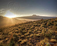 Milpa Alta (Miguel Angel Sicilia Manzo).jpg