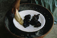 JL0004 Oaxaca.jpg