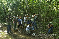 MASM07170 Observación de aves.jpg