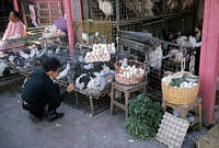 DK1393 Ciudad de México, Distrito Federal.jpg