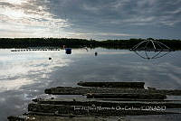 IMDOC4147 Panorámicas de INAPESCA.jpg