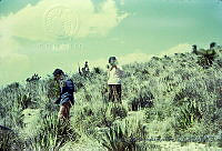 1391 Puebla, México.jpg