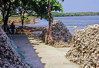 DK1189 Tierra Colorada, Tabasco.jpg