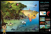 poster_golfo.jpg