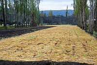 3R 01414 Invernaderos en Chinampa.jpg