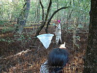 LRGA014 Coatzacoalcos, Veracruz.jpg