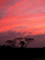 MGvarios50 Oaxaca.jpg