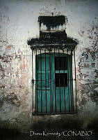 DK2288 Morelos (2).jpg