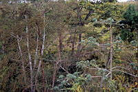 DK1267 Catemaco, Veracruz.jpg