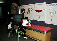 Papalote museo del niño.pdf