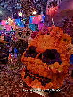 CM 0092 Calavera de flores.jpg