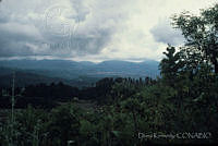 DK2136 Zitácuaro, Michoacán.jpg