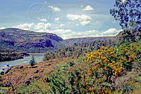 DK2360 Aguascalientes, México.jpg