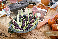 39_MASM05512 Milpa Alta, Distrito Federal.jpg