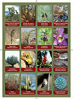 planilla1.pdf