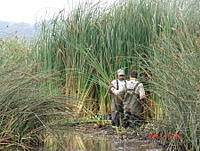 MBRL026 Erongarícuaro, Michoacán.JPG