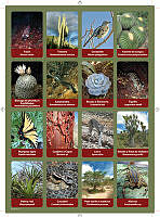 planilla4.pdf