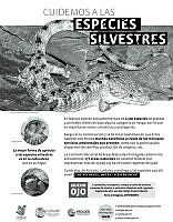 poster-4cartas-2.pdf