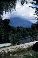 DK2197 Manzanillo, Colima.jpg