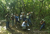 MASM07170 Yucatán, México.jpg
