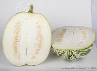 IMDOC2783 Cucurbita ficifolia.jpg