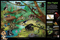 poster_selva.jpg