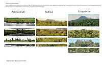 Muestra de los Disenos Alas Metropolitanas.pdf