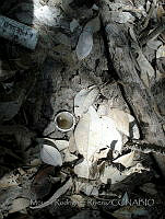 MRR041 Pueblo Viejo, Veracruz.jpg