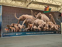 IMG-20251002-WA0054.jpg