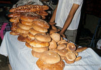 EHX0432 Zea mays.JPG