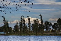 JLGR02 Xochimilco, Ciudad de México.jpg