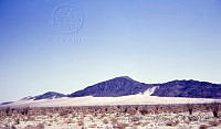 1485 San Luis Río Colorado, Sonora.jpg