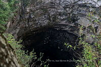 IMDOC3916 Hirundo rustica.jpg